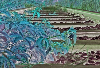 I 011D